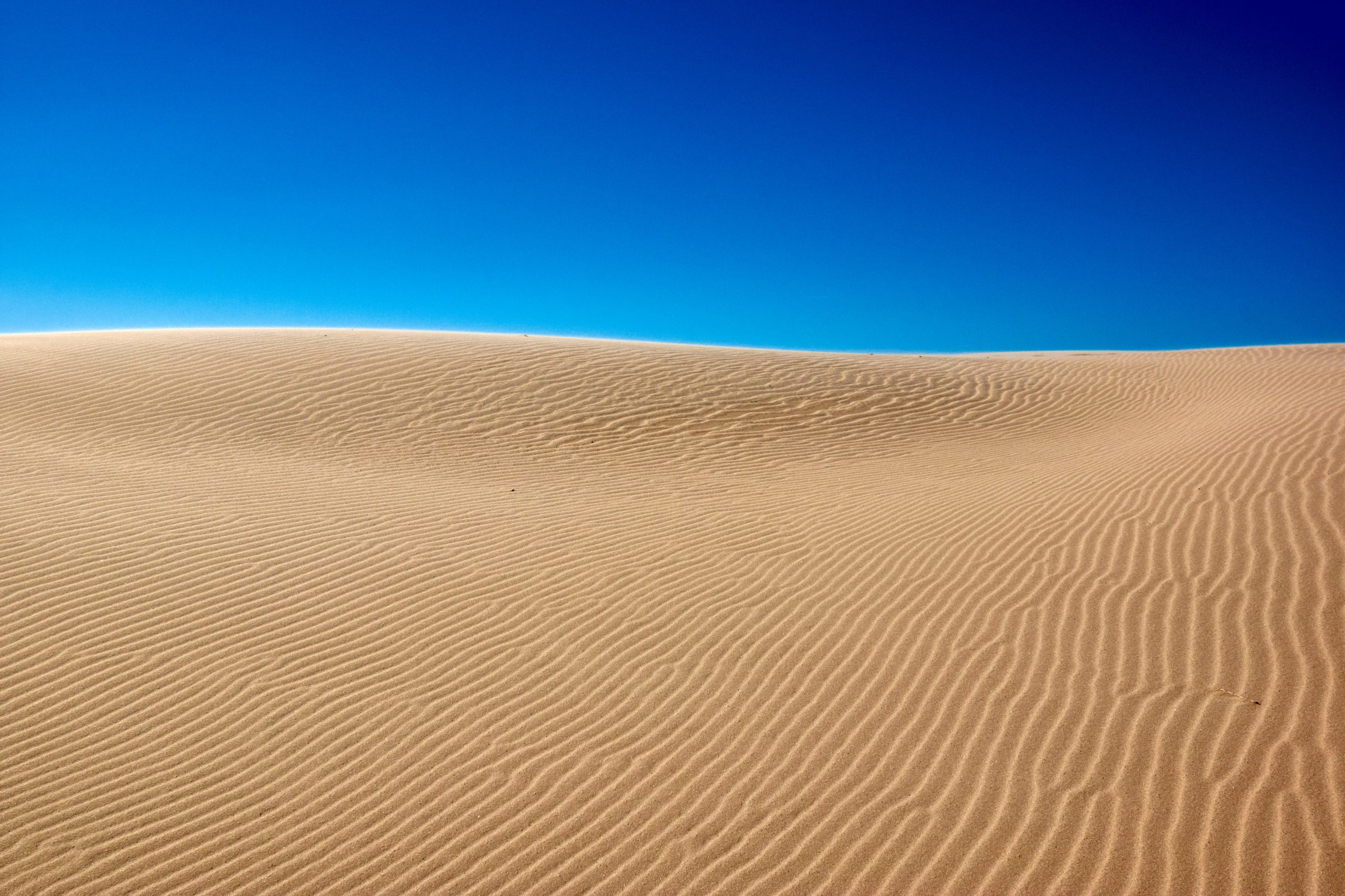 Sahara oder doch nur eine Sanddüne