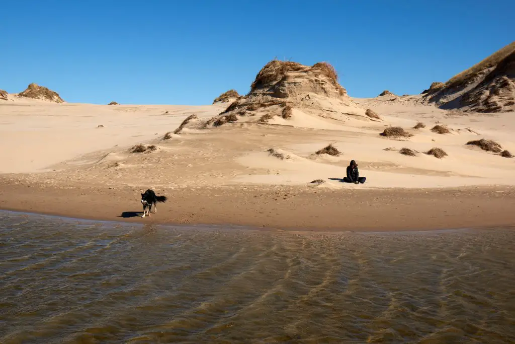 Wasser und Sand an der Düne