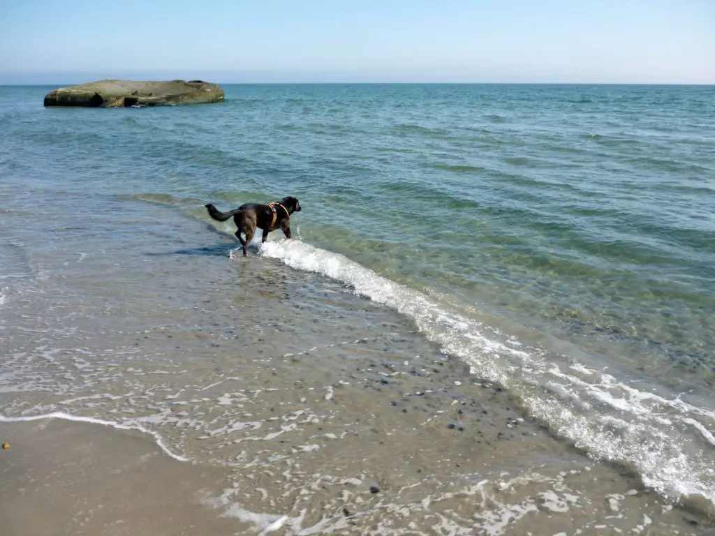 Der Strand mit Bunker bei Grenen