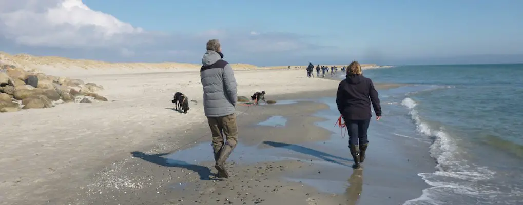 Grenen bei Skagen – 2 Meere treffen aufeinander