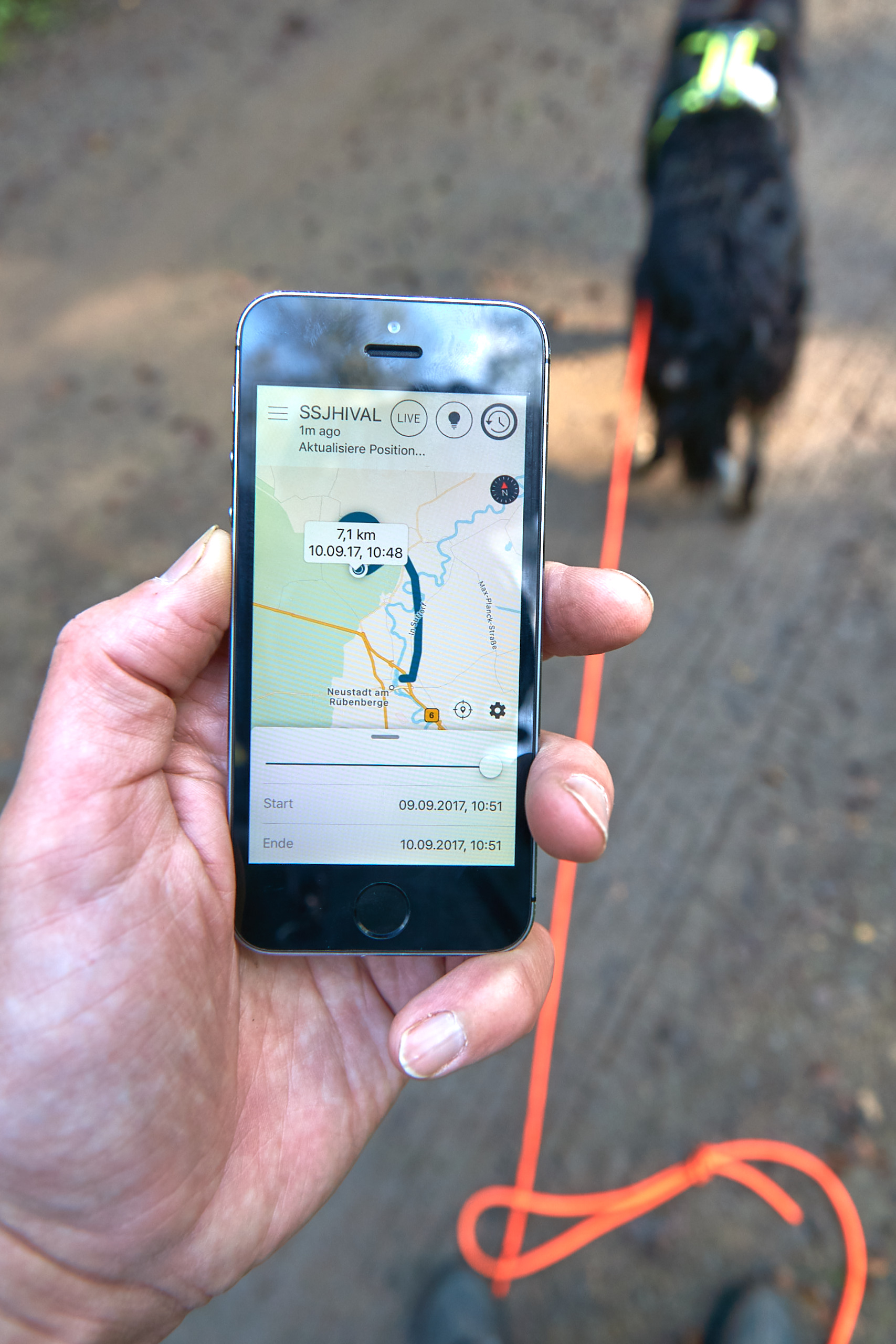 GPS-Tracker App von tractive