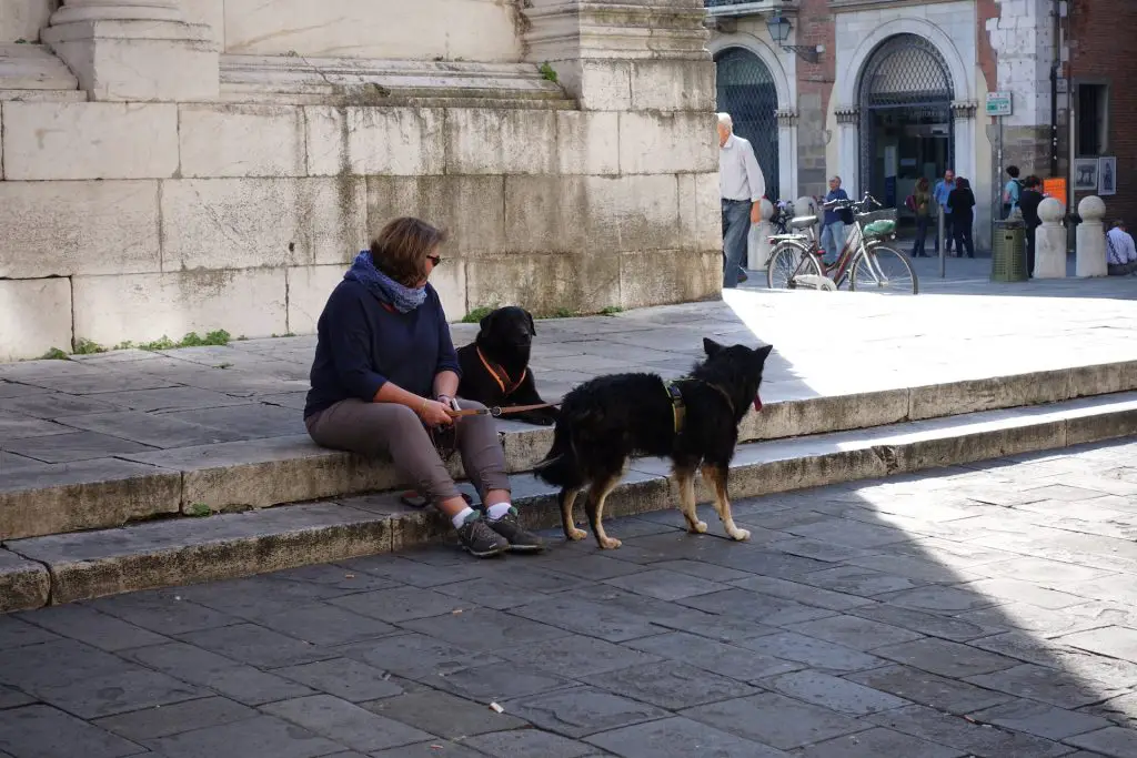 Pause im Schatten in Lucca
