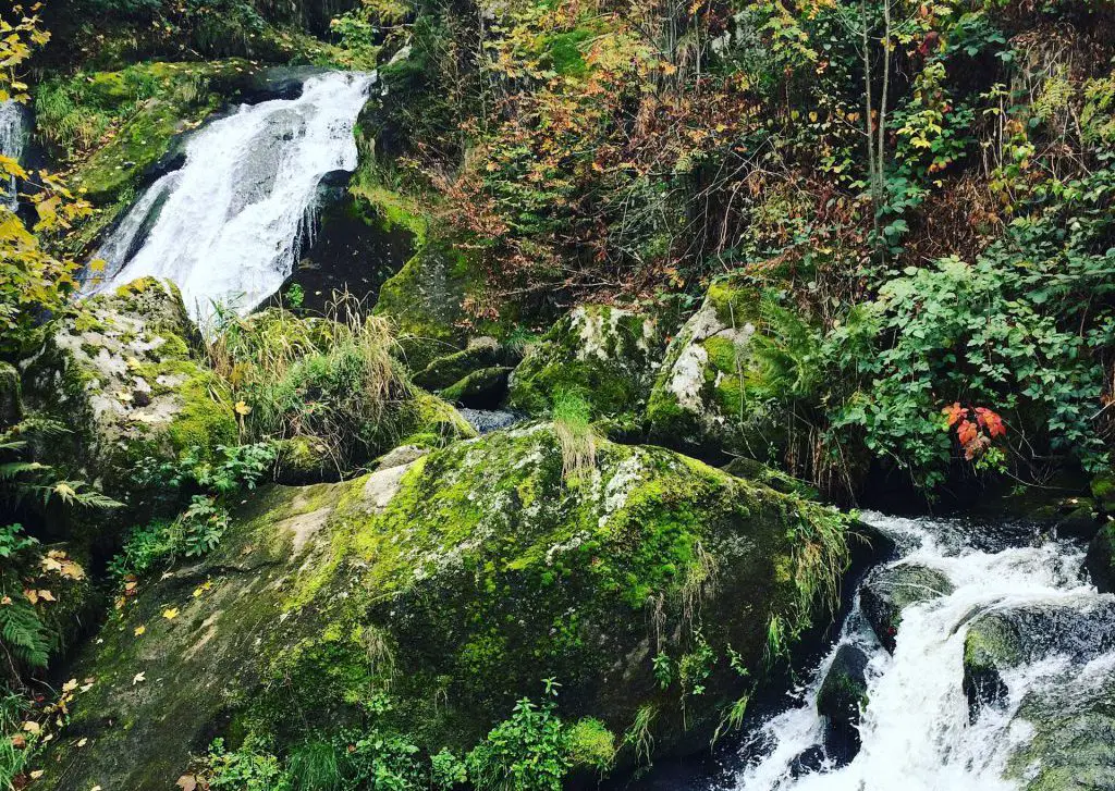 Nasskalt erwischt im Schwarzwald