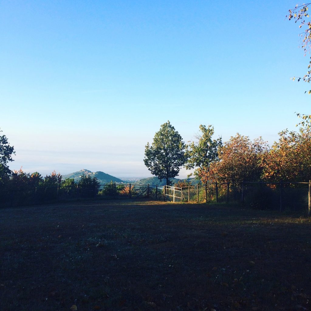 Schönes Wetter auf dem Agricampeggio le Carbonaie