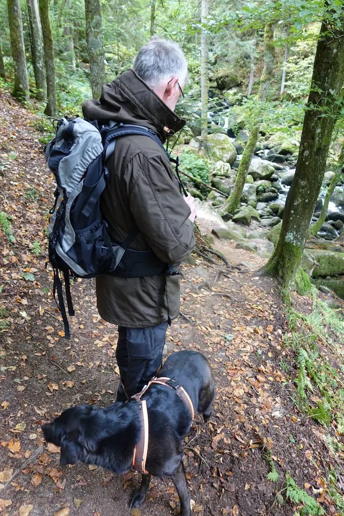 Wanderung im Schwarzwald