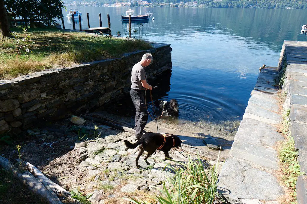 Hundebad im Ortasee