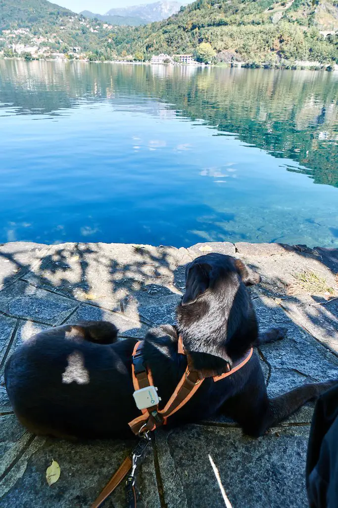 Pause im Schatten am Ortasee