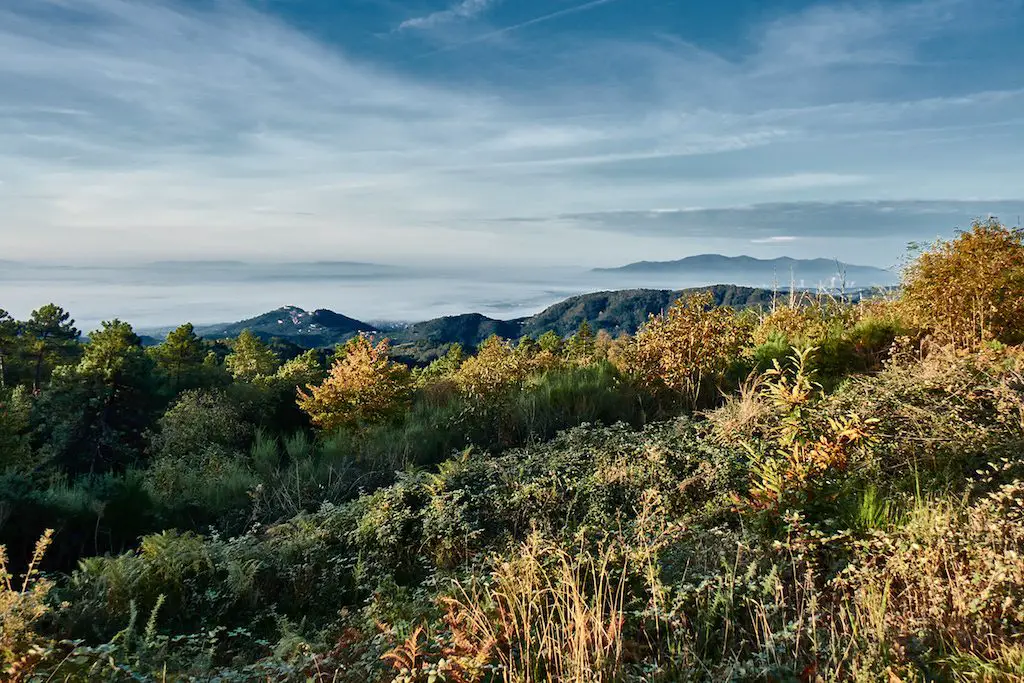 Ausblick auf die Toskana