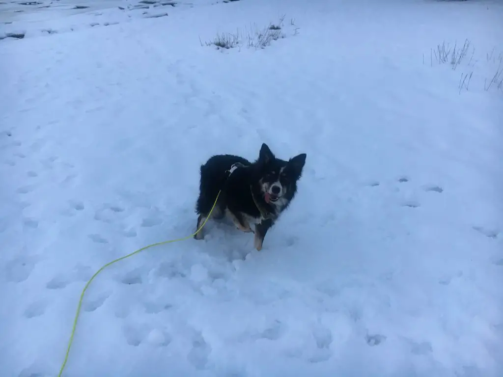 Ben im Schnee