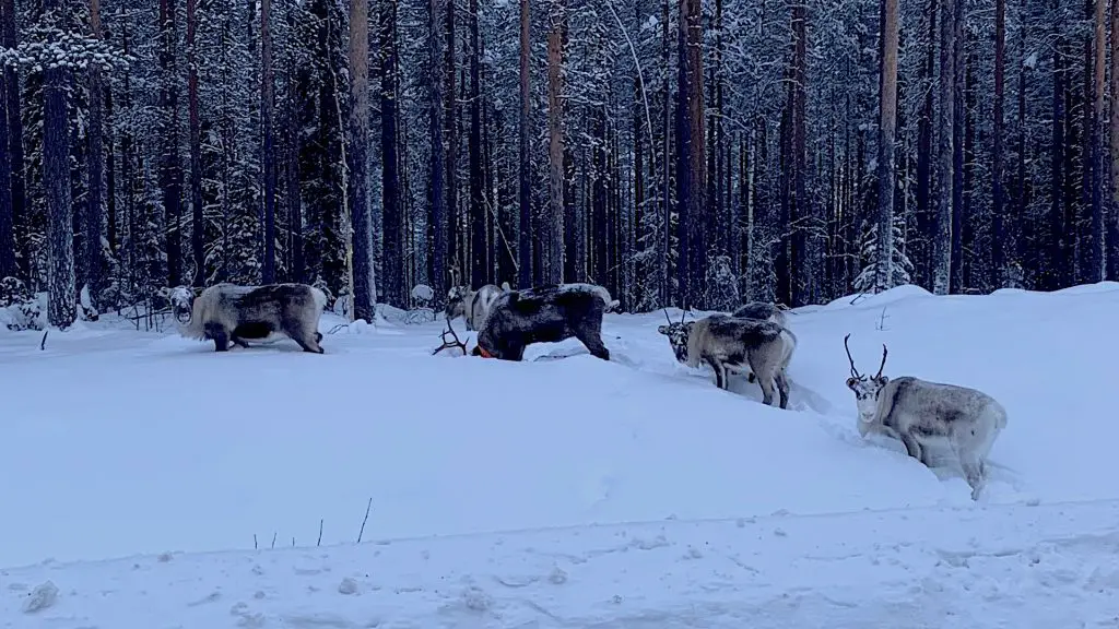 Winter in Schweden