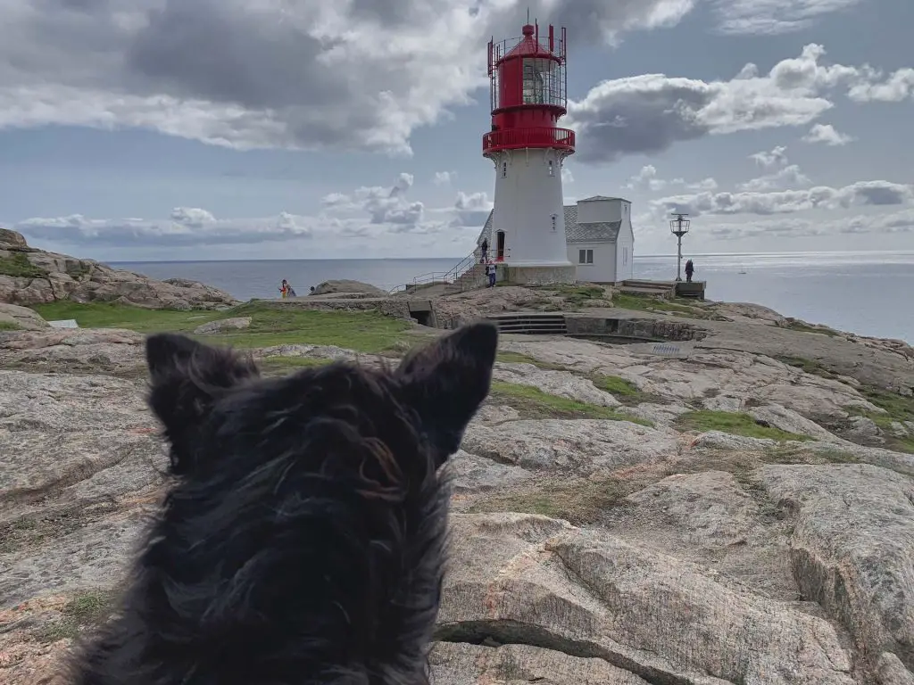 Lindesnes Fyr mit Spitzohren, Norwegen mit Hund