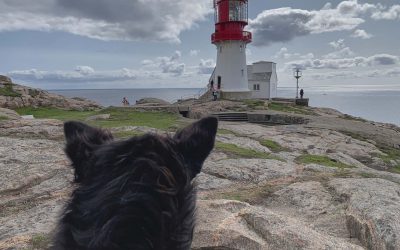 Lindesnes Fyr mit Spitzohren, Norwegen mit Hund