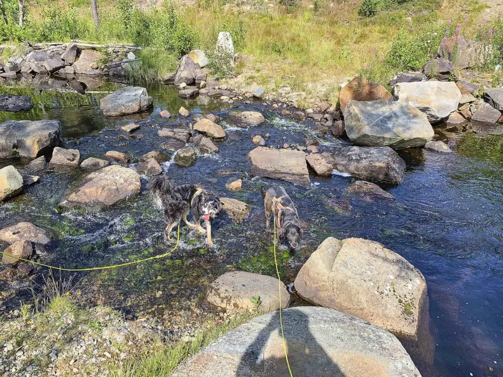 Rast in Südnorwegen