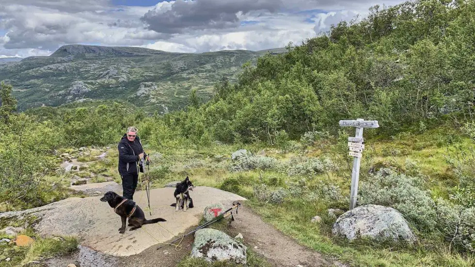 Hardangervidda Titelbild