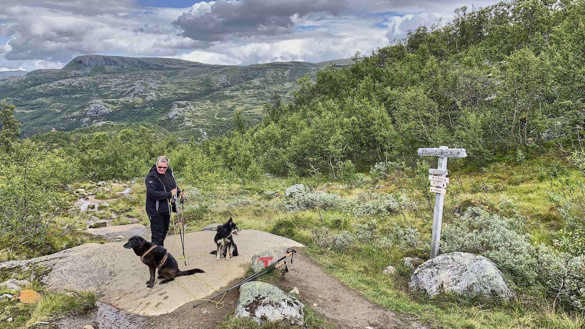 Hardangervidda – wandern und entspannen