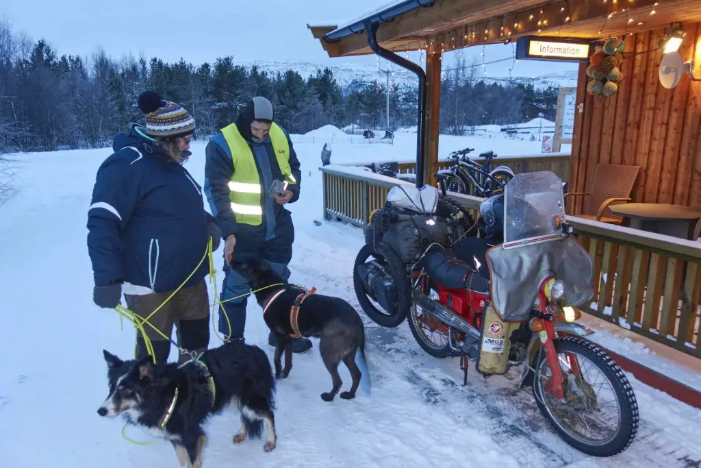 Kontaktaufnahme in Norwegen mit Hund