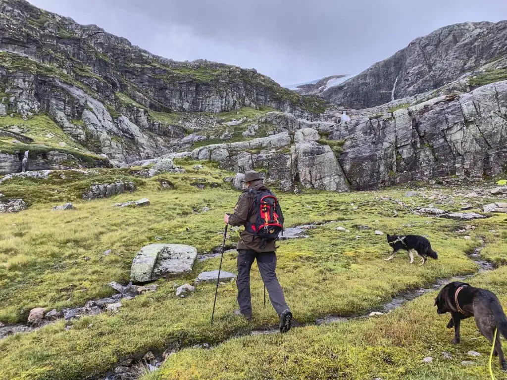 Norwegen mit Hund