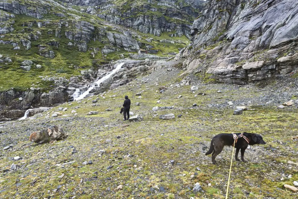 Wanderung am Folgefonna