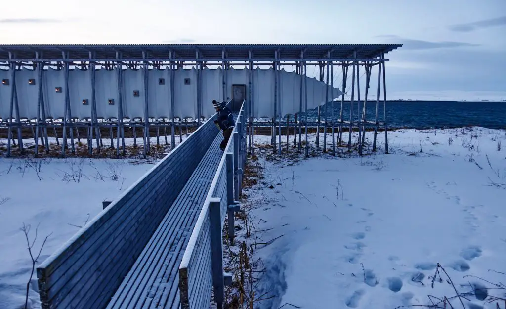 Hexenmahnmal Vardø