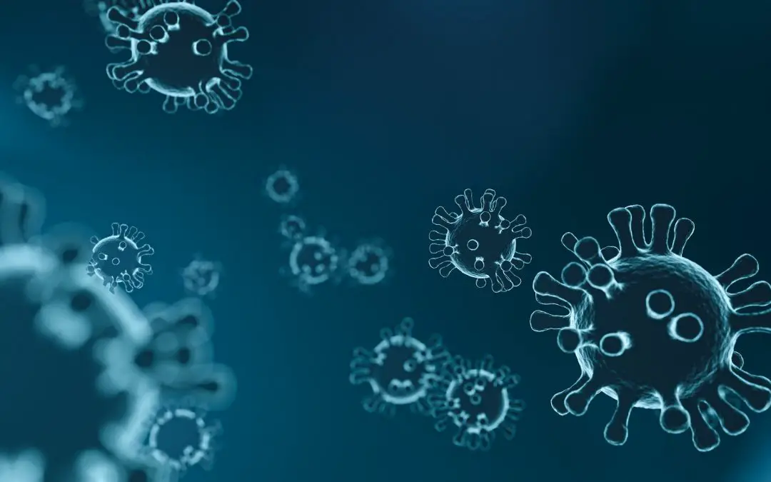 Coronavirus – sicher Reisen, Träumen, Klopapier