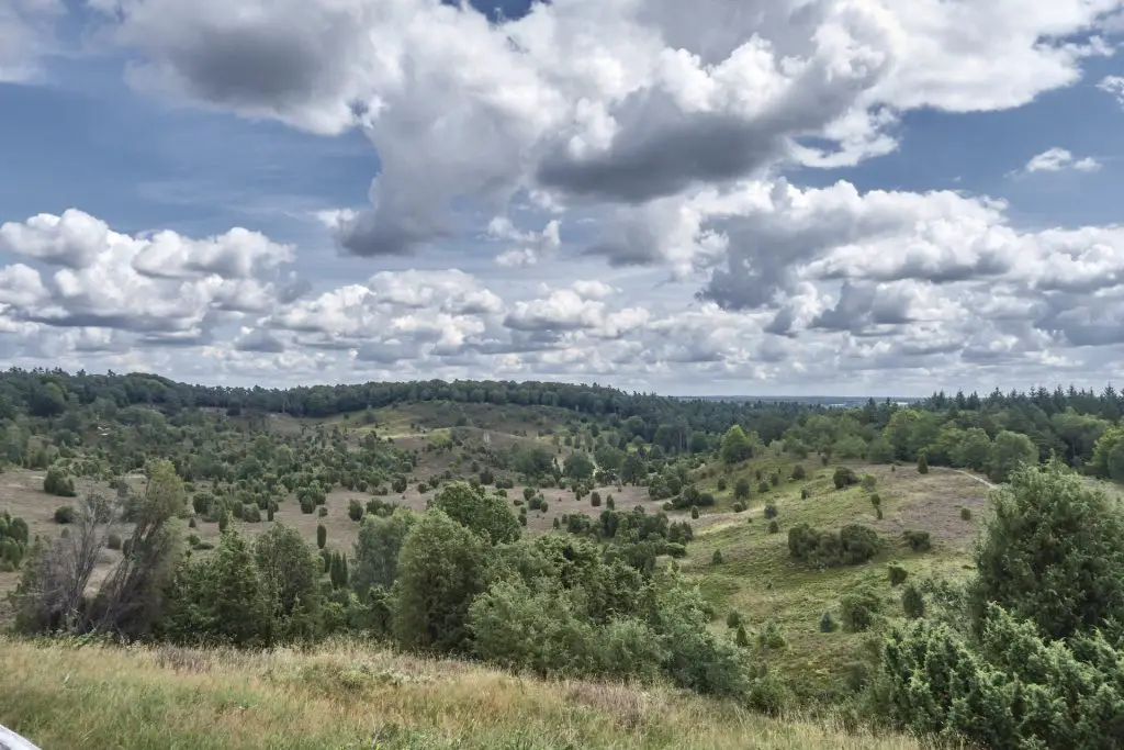 Ausblick auf den Totengrund Lüneburger Heide