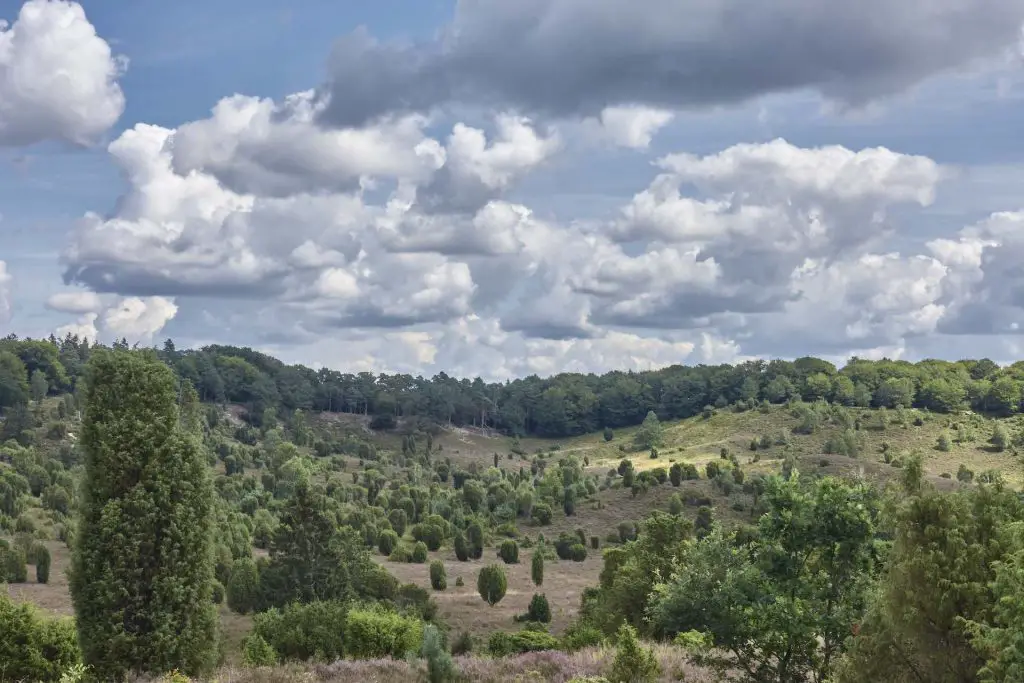 Ausblick auf den Totengrund Lüneburger Heide