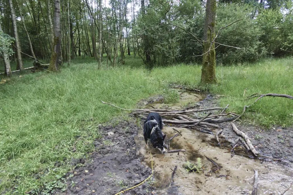 Ben in der Haverbeeke