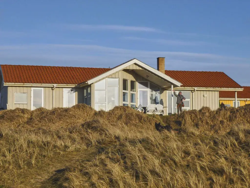 Ferienhausurlaub in Dänemark mit Hund ist sehr beliebt