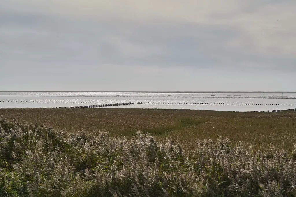 Blick auf das Meer von der Düne aus