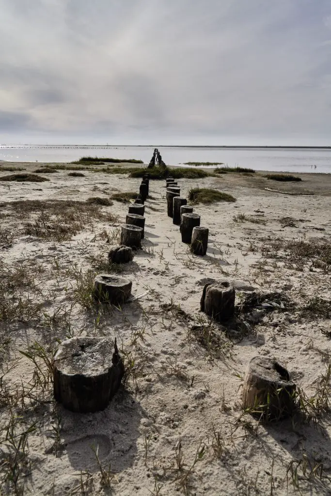 Buhnen laufen ins Meer