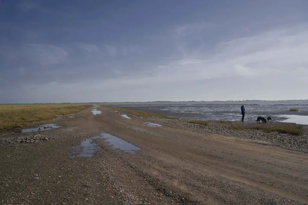 Der Kiesweg nach Mandø