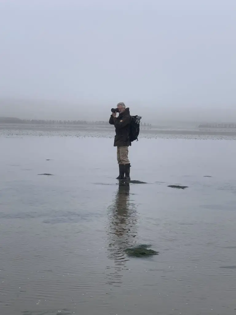 Fotografie im Nebel