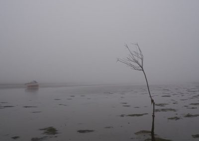Baum und Boot im Watt von Mandø