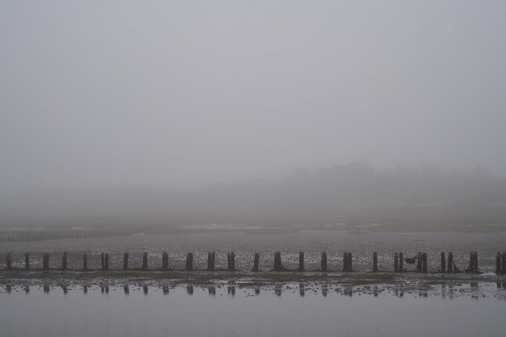 Buhnen im Nebel