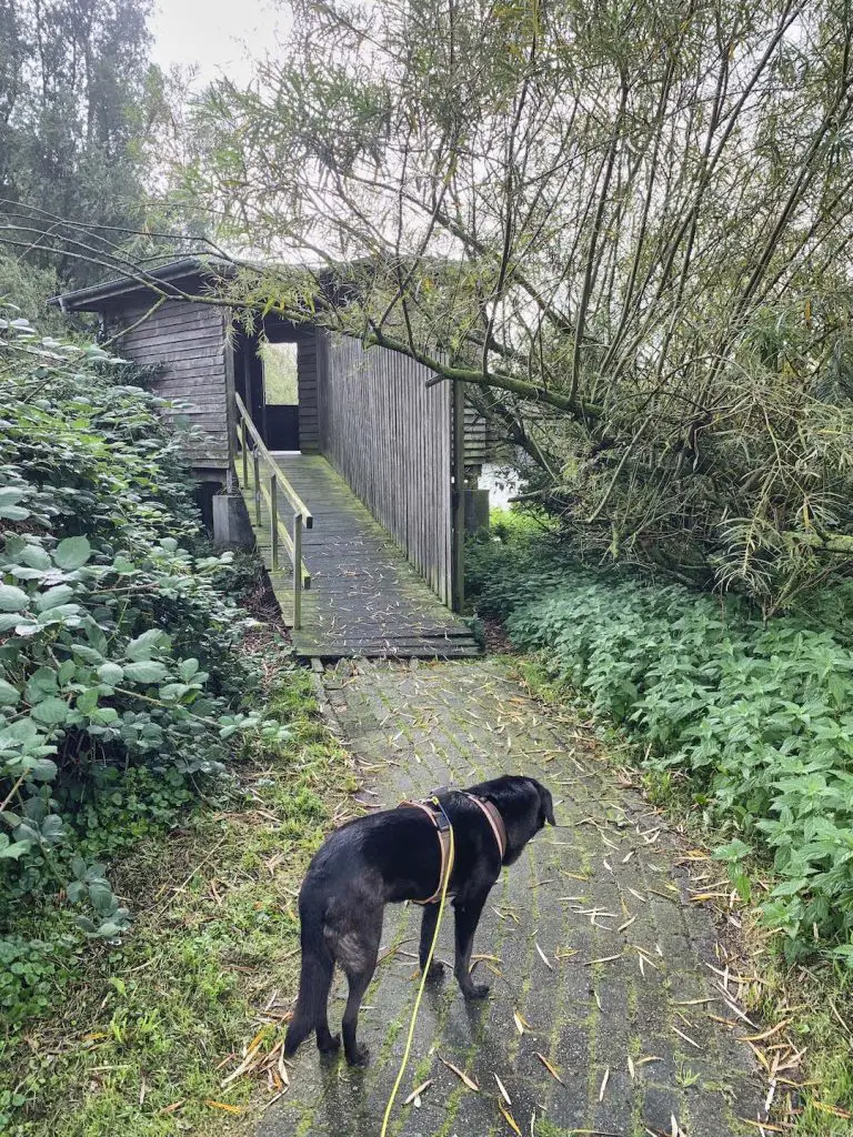 Soltborger Kolk in Ostfriesland