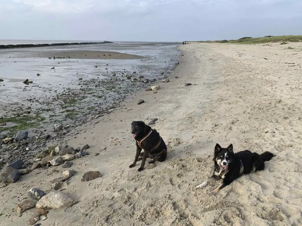 Naturstrand Knock in Ostfriesland