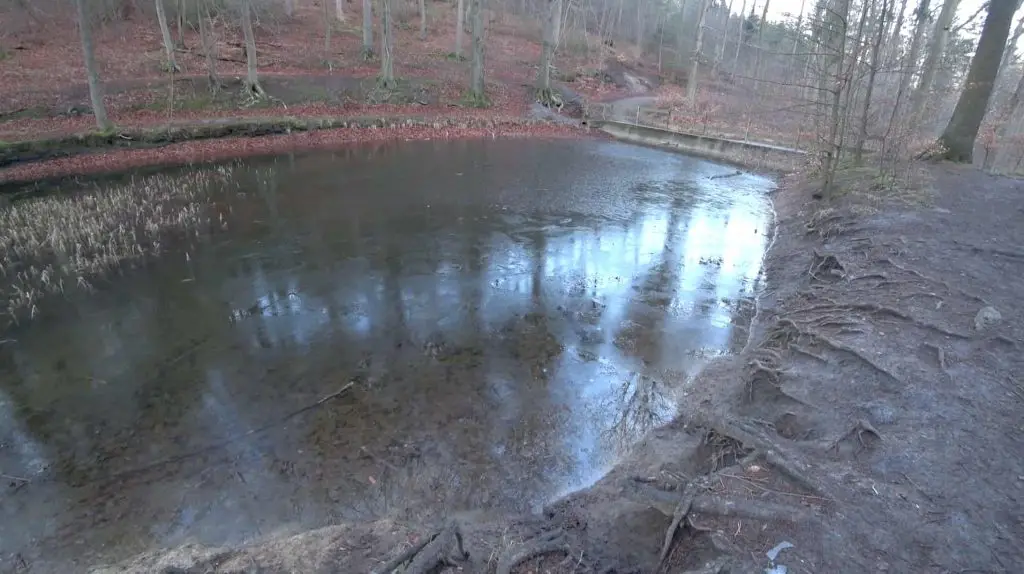 Blanke Teich bei Wennigsen