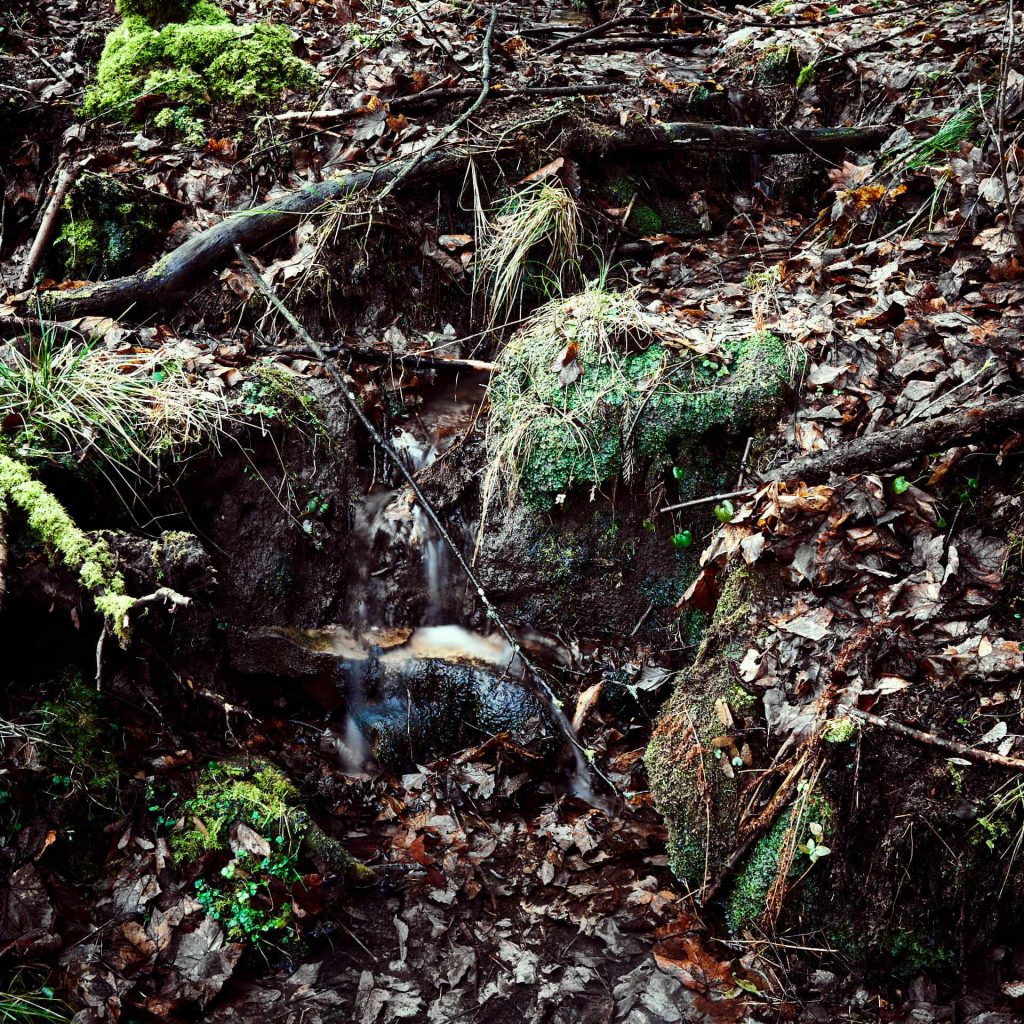 Bachlauf im Deister