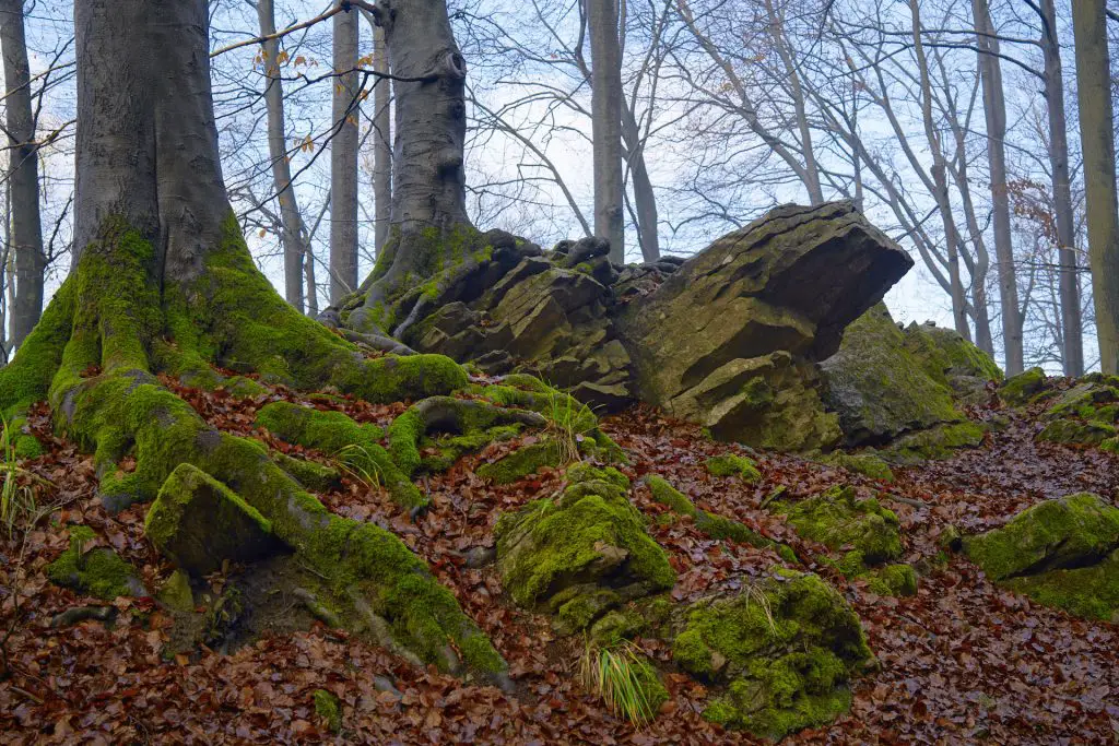 Felsformation auf dem Weg zum Hohenstein