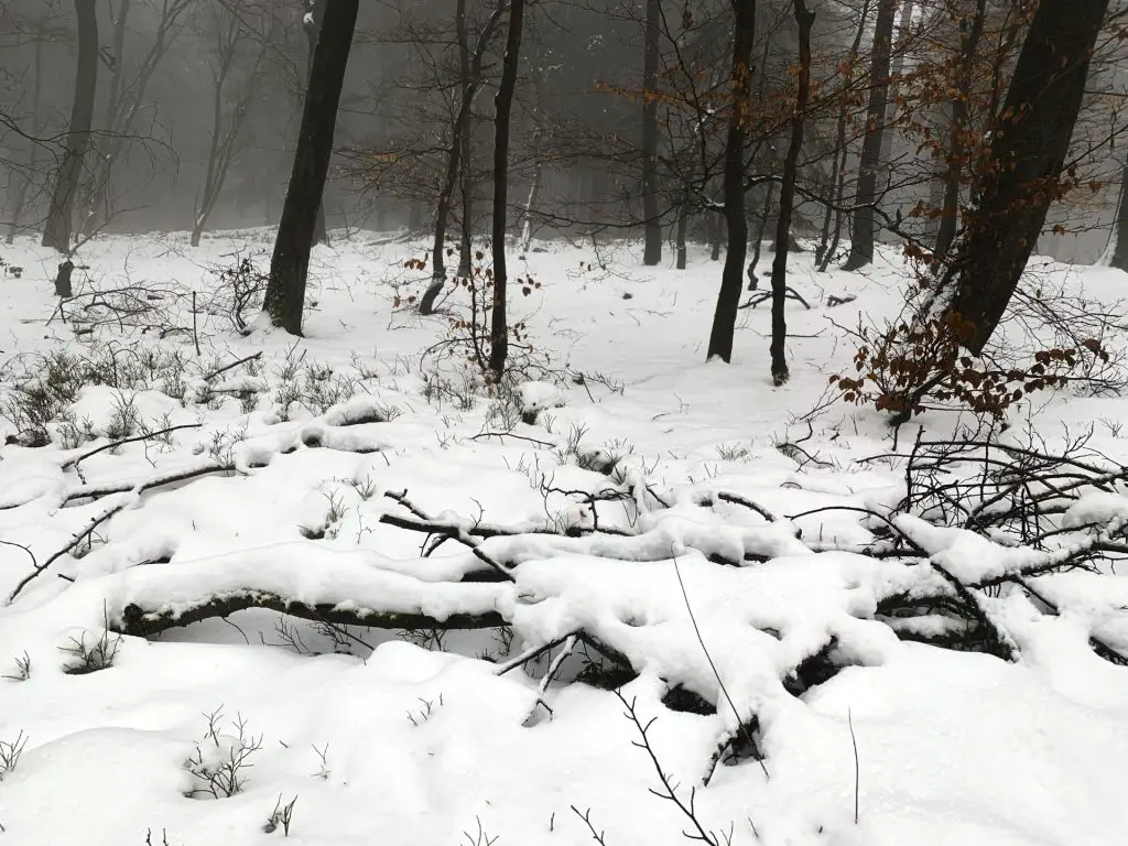 Hohe Egge im Schnee