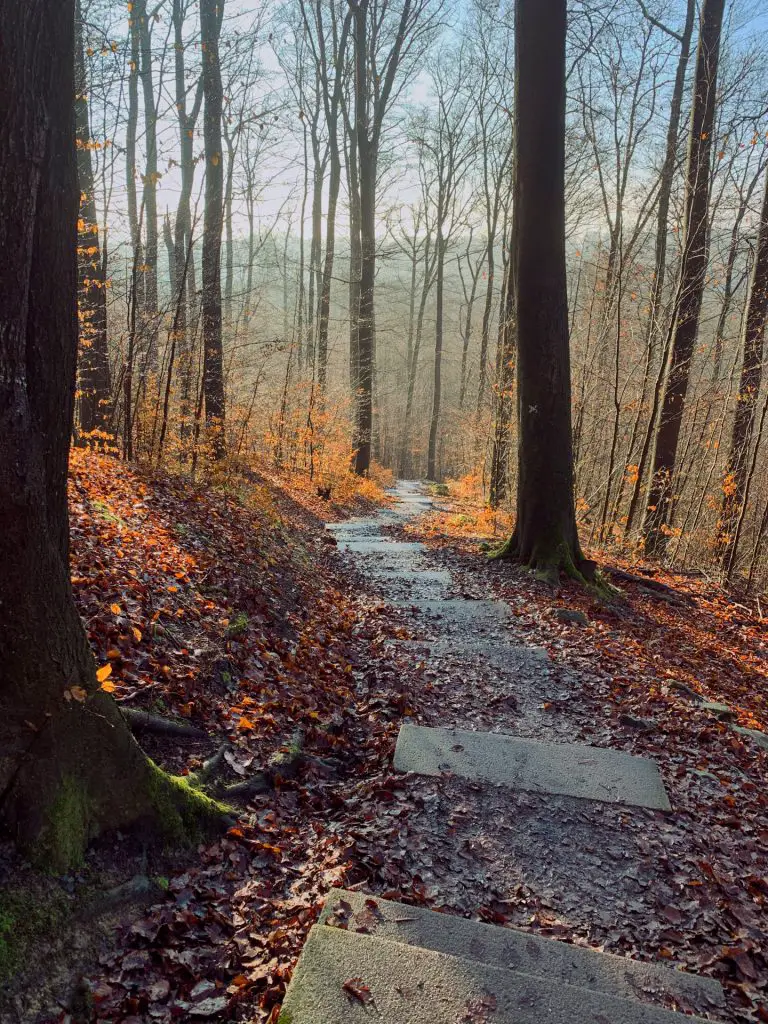 Treppen zum Hohenstein