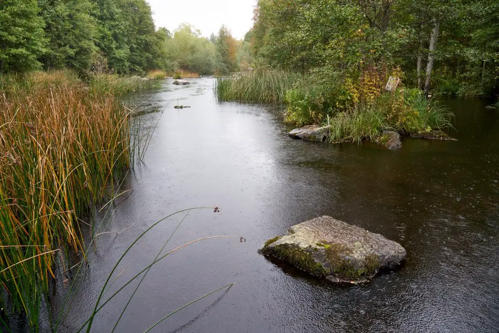 Illharjens Naturrservat