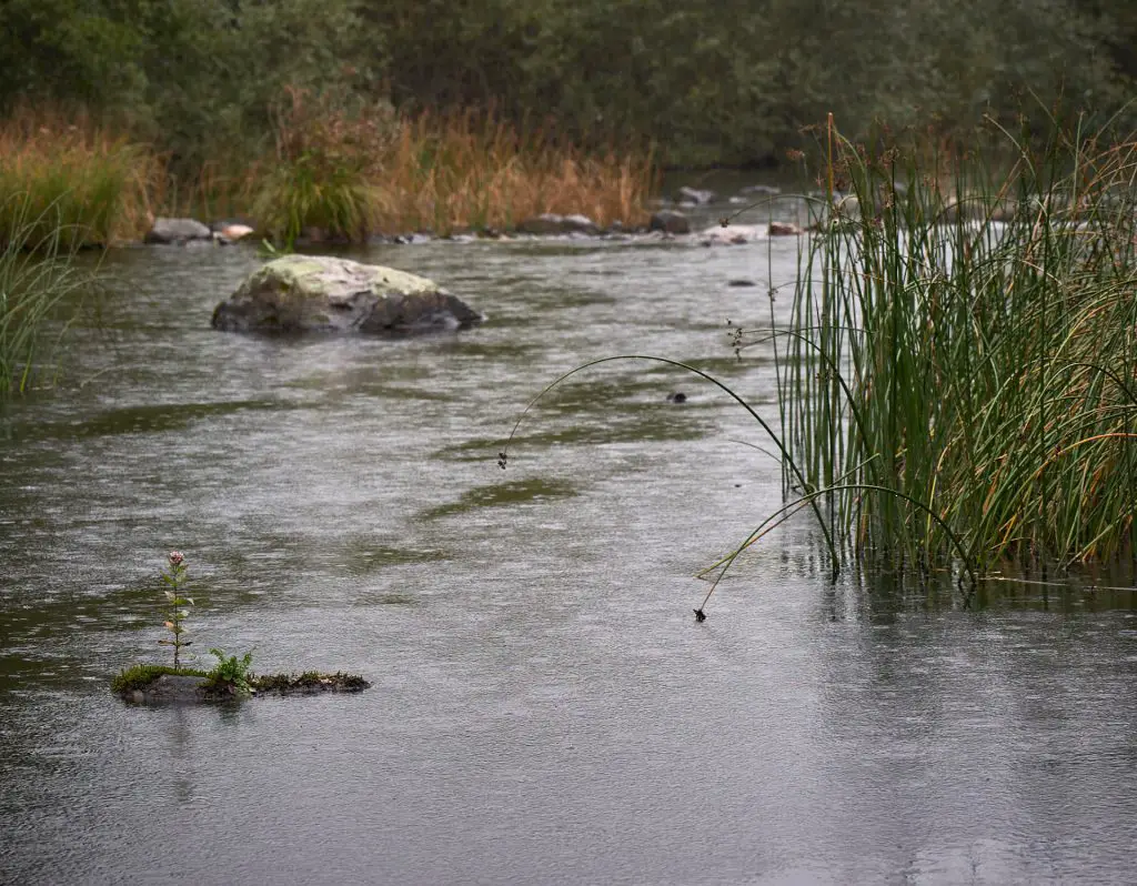 Illharjens Naturrservat im Regen