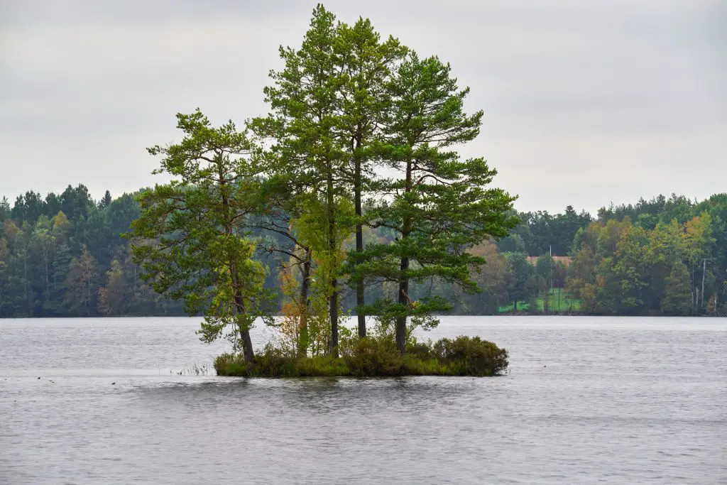 Insel im See