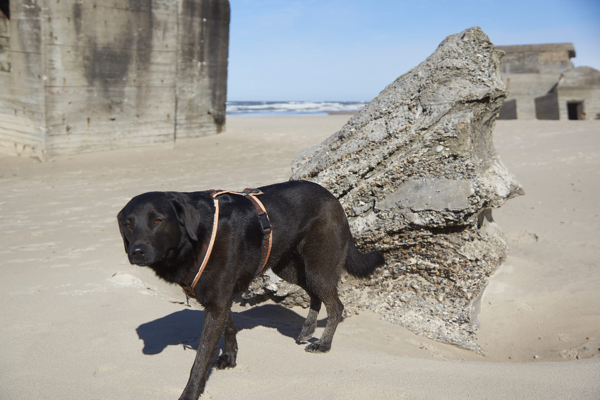 Bea am Strand von Løkken bei den Bunkern Bea am Strand von Løkken bei den Bunkern