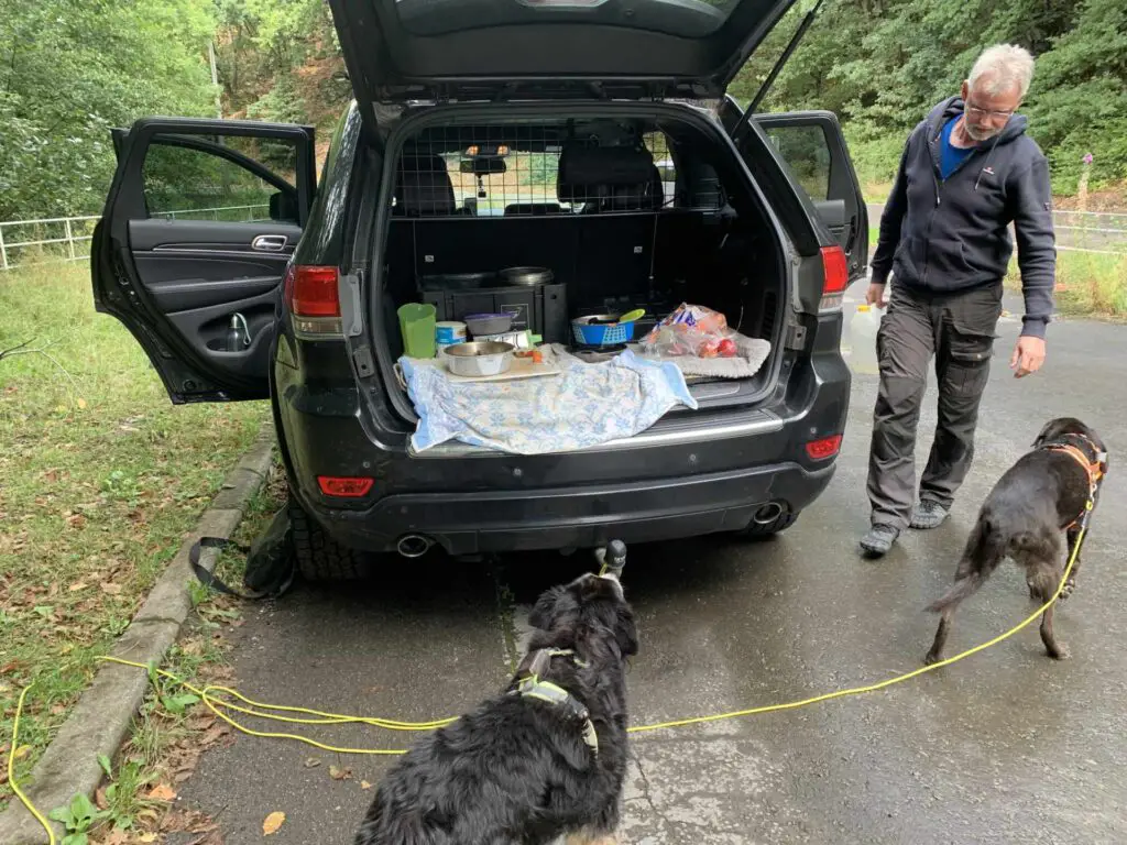 Anreise mit Hund nach Portugal