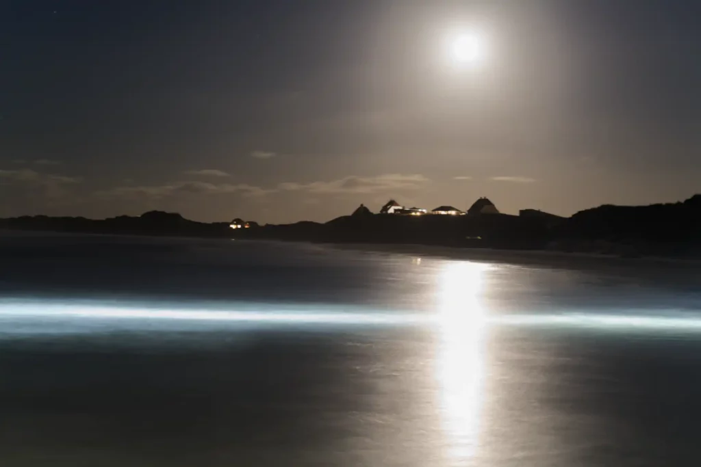 Nachtfotografie am Meer