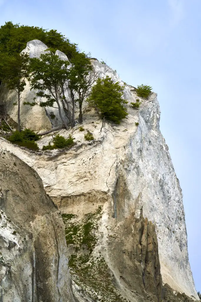 Kreidefelsen Møns Klint