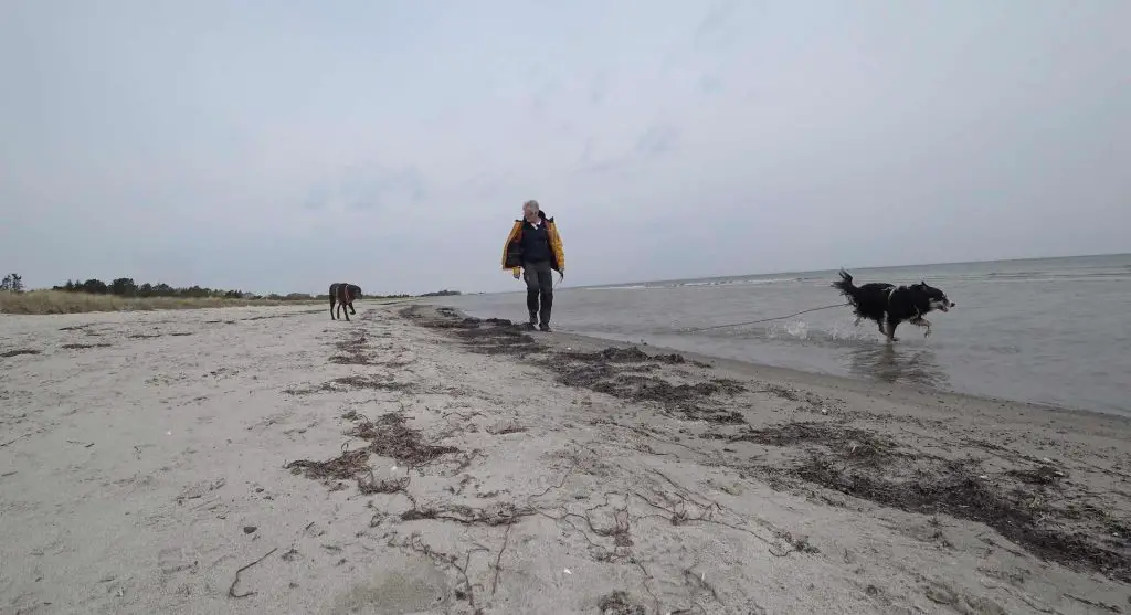 Møn Strandcamping am Strand