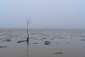 Fotografieren im Nebel und am Wasser